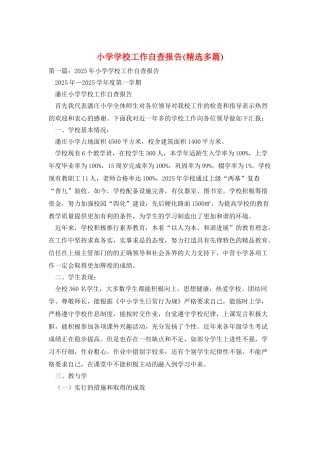 小学学校工作自查报告