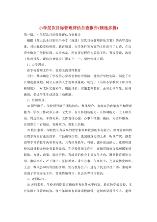 小学层次目标管理评估自查报告
