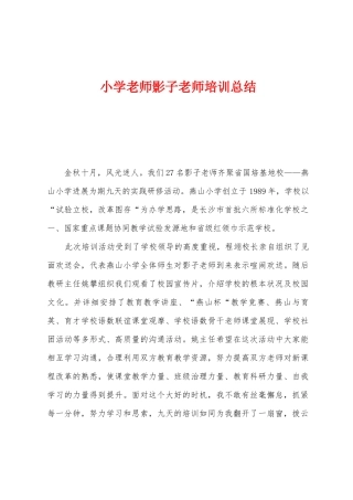 小学教师影子教师培训总结