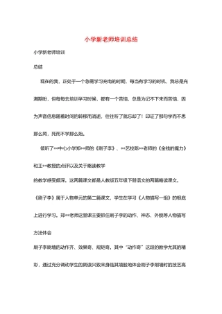 小学新教师培训总结