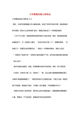 小学暑假实践心得体会