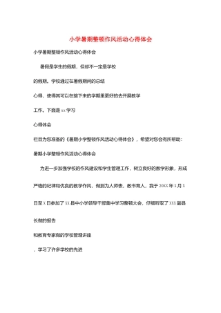 小学暑期整顿作风活动心得体会