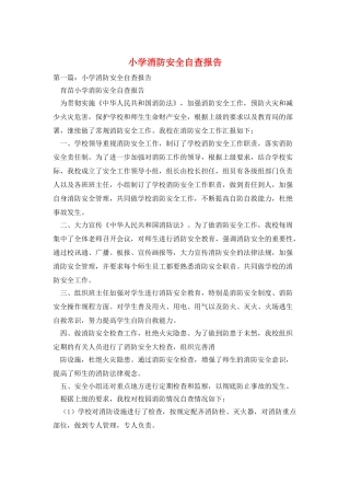 小学消防安全自查报告