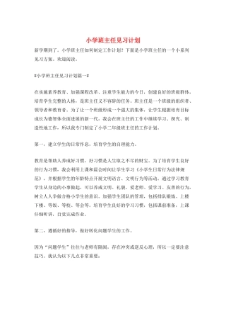 小学班主任见习计划