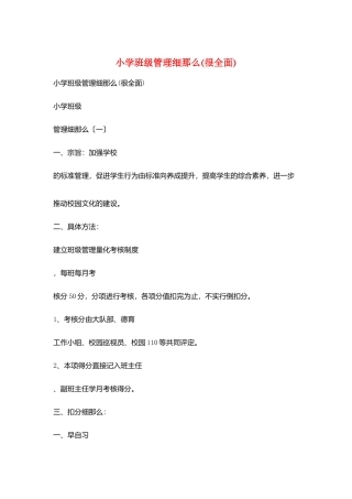 小学班级管理细则