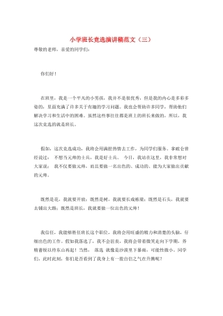 小学班长竞选演讲稿范文(三)