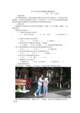 小学生作业完成情况调查报告