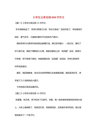 小学生元宵见闻200字作文