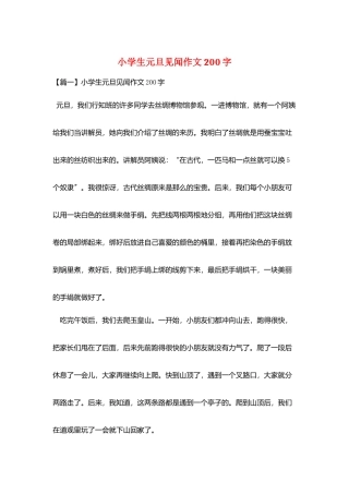 小学生元旦见闻作文200字