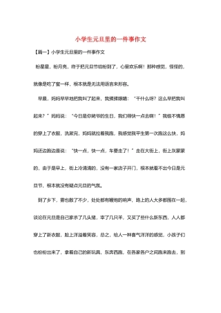 小学生元旦里的一件事作文