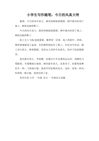 小学生写作随笔：今天的风真大呀