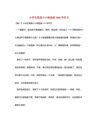 小学生我是小小发明家400字作文