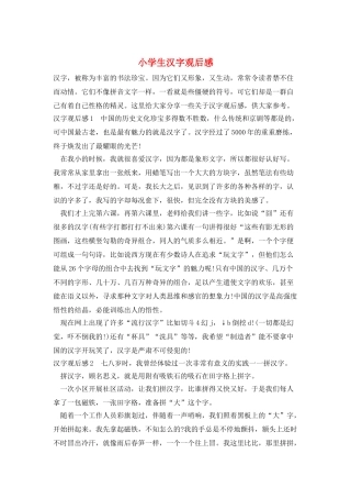 小学生汉字观后感