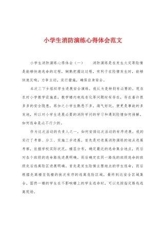 小学生消防演练心得体会范文