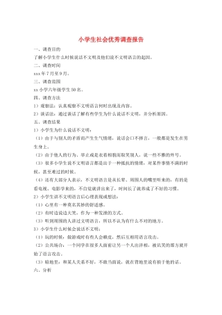 小学生社会优秀调查报告