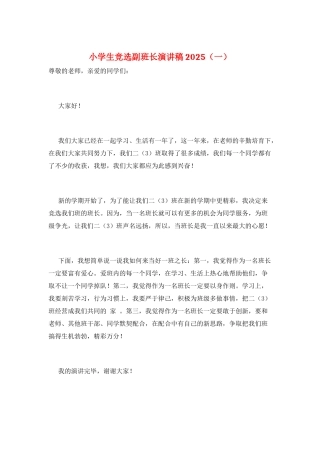 小学生竞选副班长演讲稿2025(一)