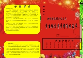 小学生综合素质评价报告单