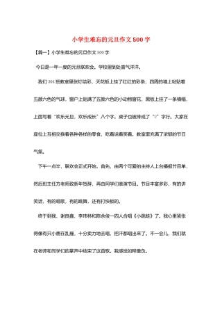 小学生难忘的元旦作文500字