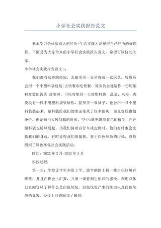 小学社会实践报告范文