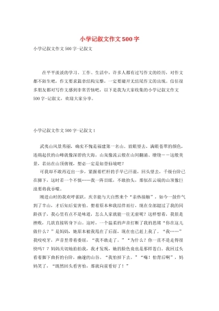 小学记叙文作文500字