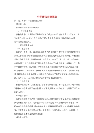 小学评估自查报告