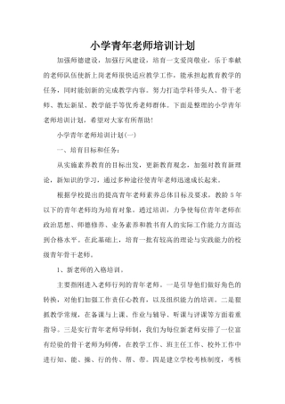 小学青年教师培训计划（标准版）