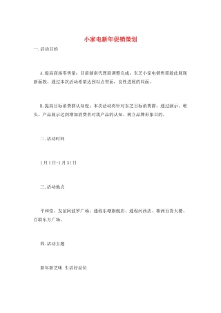 小家电新年促销策划