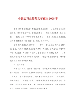 小我实习总结范文年夜全3000字