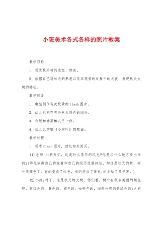 小班美术各式各样的照片教案