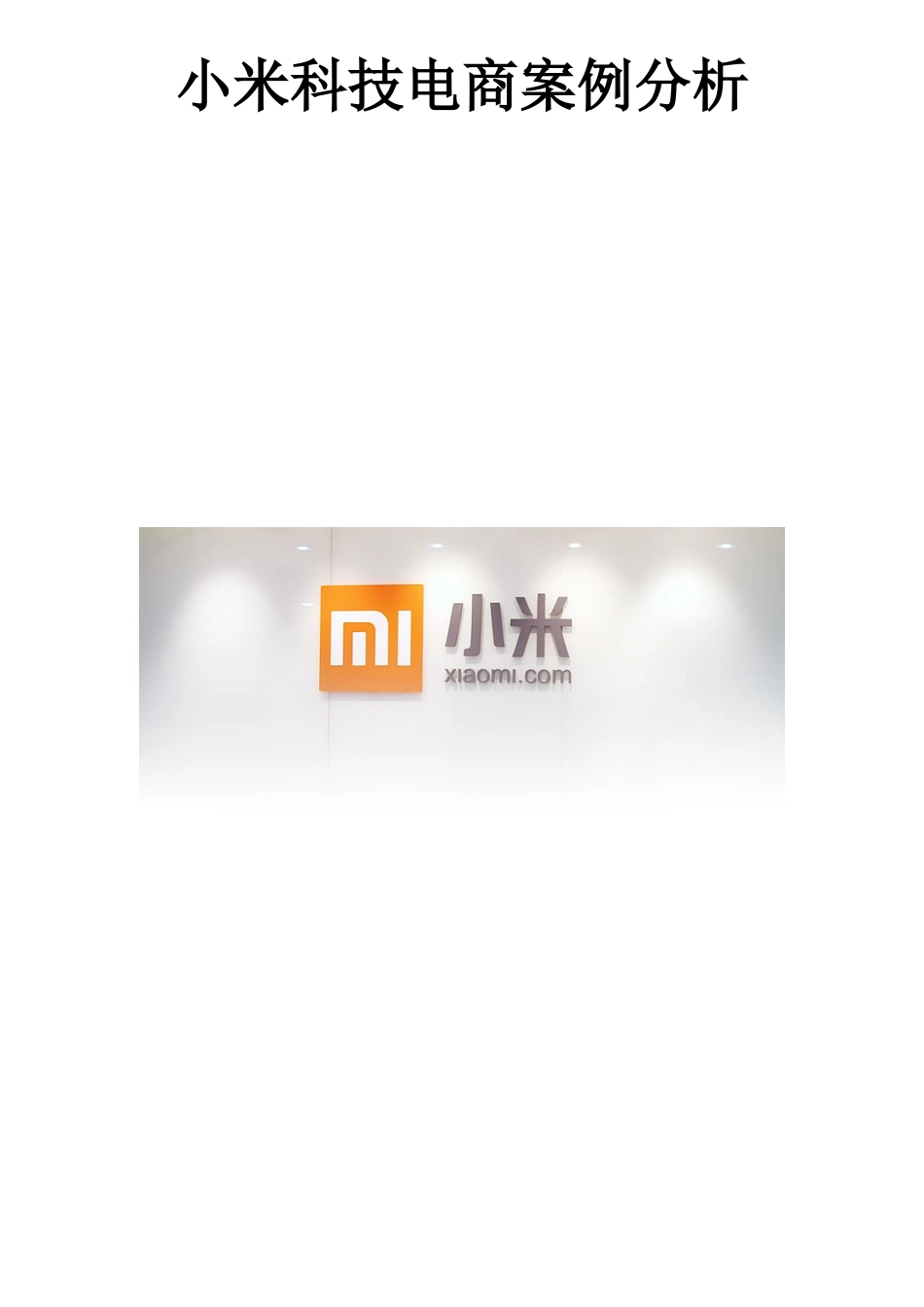 小米科技电子商务案例分析_第2页