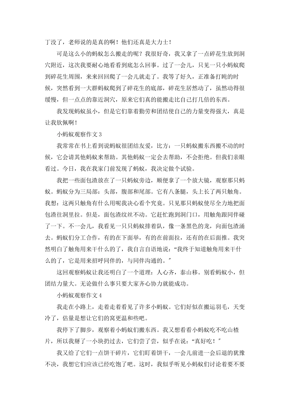 小蚂蚁观察作文_第2页