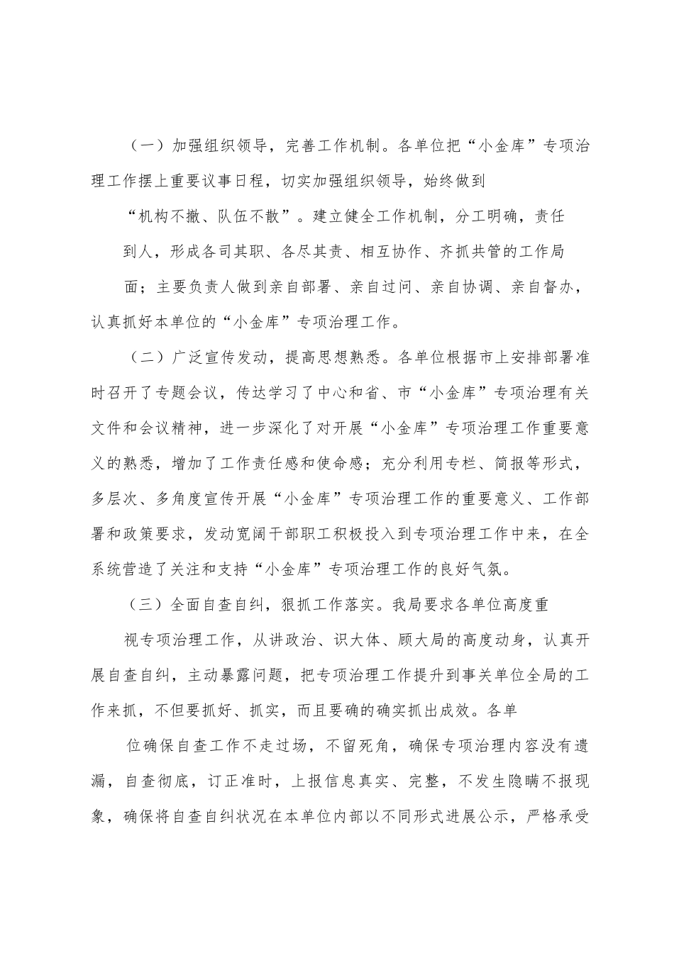 小金库”专项治理工作2025年年工作总结_第3页