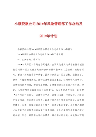 小额贷款公司201年风险管理部工作总结及201年计划