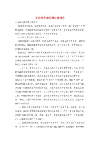 小金库专项治理自查报告