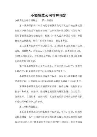 小额贷款公司管理规定（标准版）