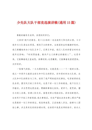 少先队大队干部竞选演讲稿