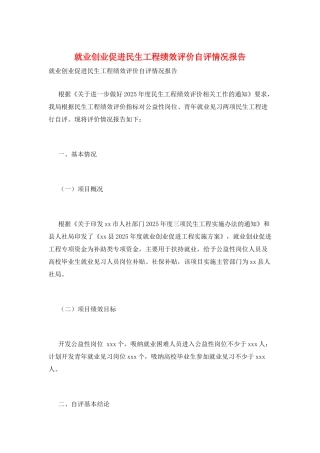 就业创业促进民生工程绩效评价自评情况报告