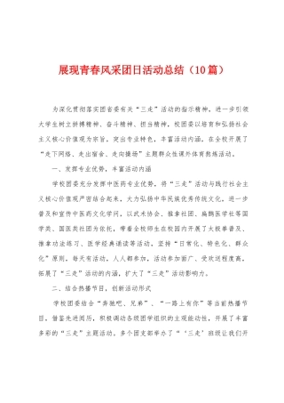 展现青春风采团日活动总结