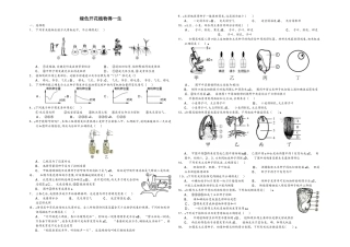 山东省乐陵市致远学校2025届初三毕业年级复习测试绿色开花植物的一生（解析版）