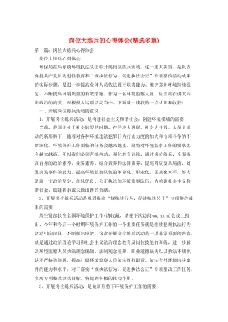 岗位大练兵的心得体会