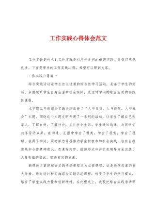 工作实践心得体会范文