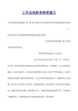 工作总结财务制度建立