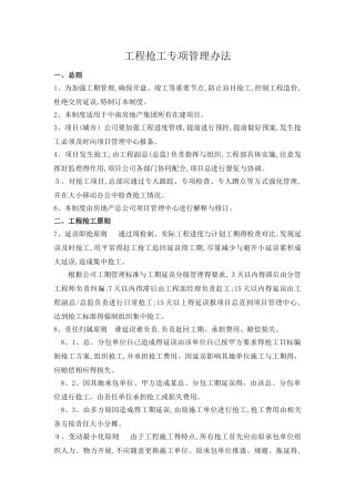 工程抢工专项管理办法