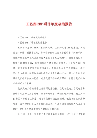 工艺部ERP项目年度总结报告