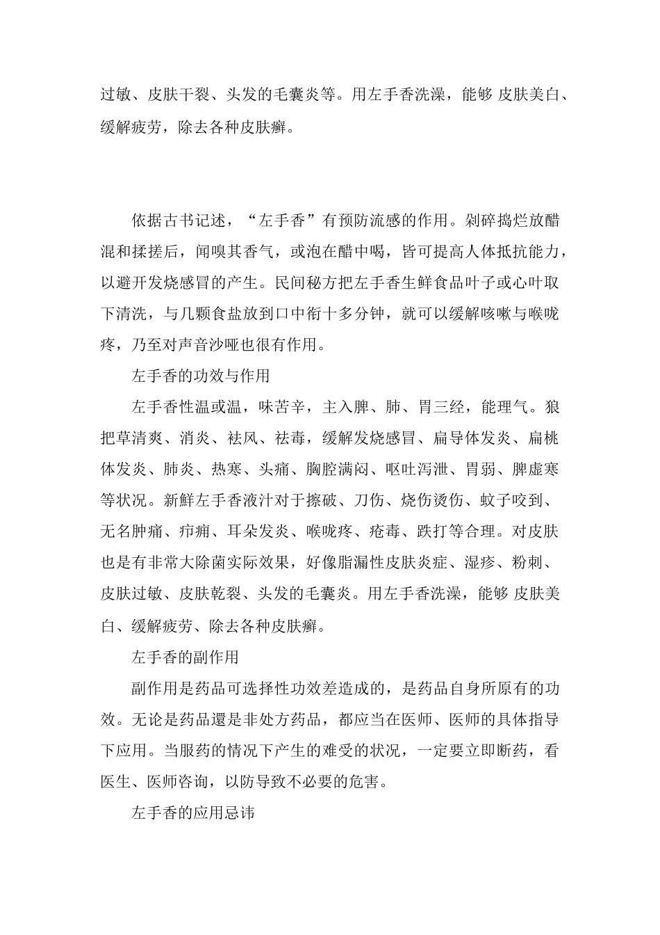 左手香的功效与作用_第2页