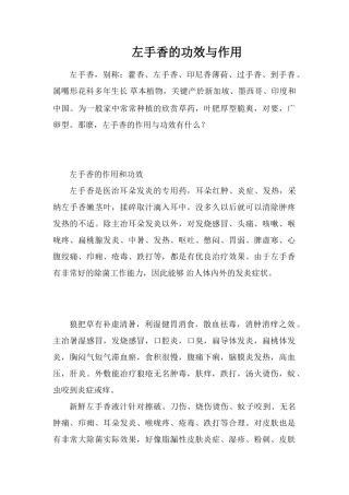 左手香的功效与作用