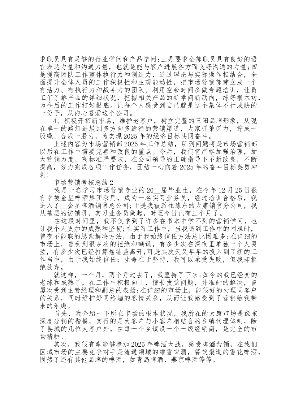 市场营销考核总结_第3页