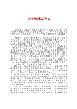 市场调研报告范文