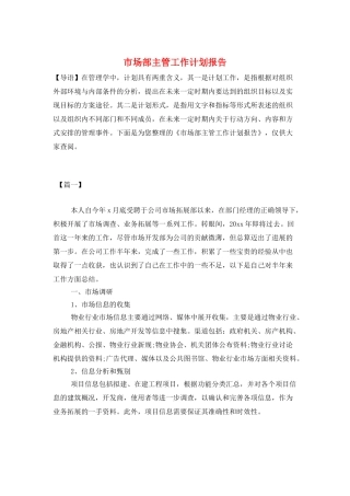 市场部主管工作计划报告