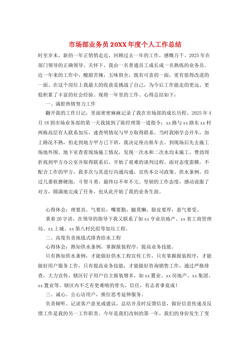 市场部业务员20XX年度个人工作总结_第1页